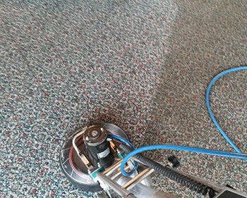 Carpet Cleaning