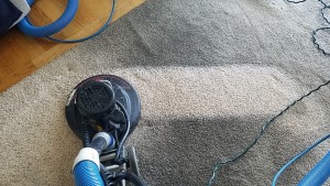 Old Bridge Carpet Cleaning