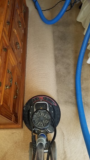 Wickatunk Carpet Cleaning