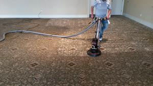 Avon by the Sea Carpet Cleaning