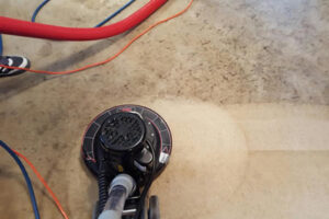 drying a wet carpet
